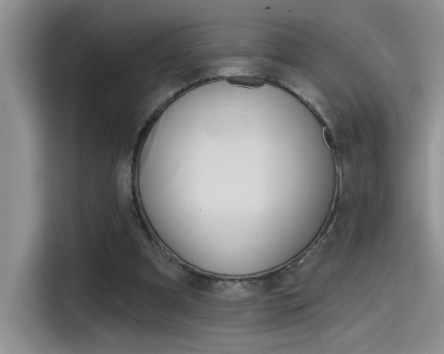 X0000115790297200911131032
