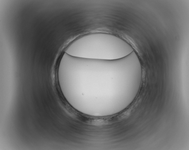 X0000115790298200911131032