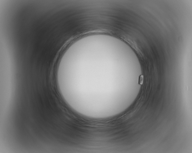 X0000115790300200911131032