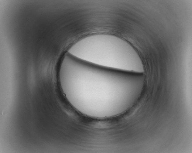 X0000115790303200911131032