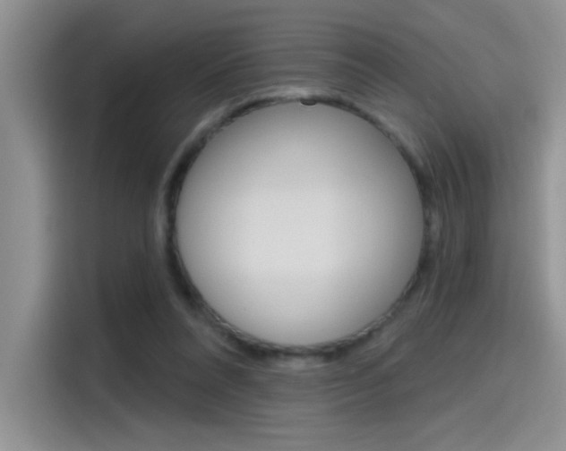X0000115790304200911131032