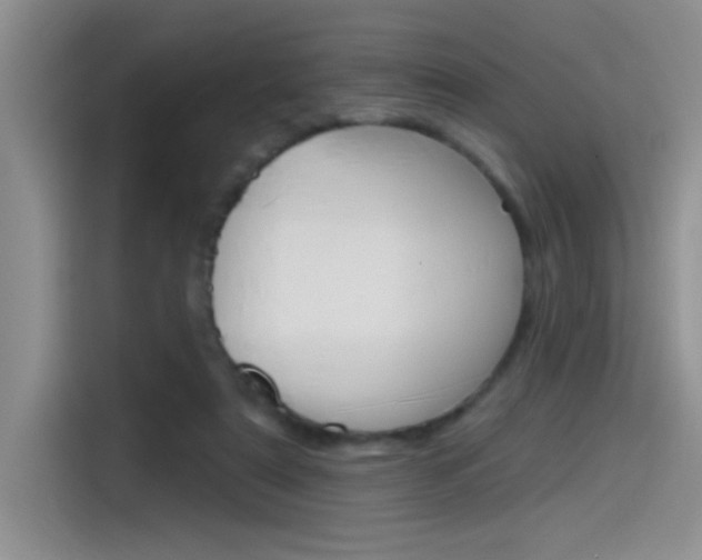 X0000115790307200911131032