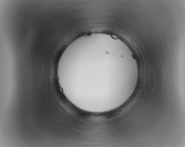 X0000115790311200911131032