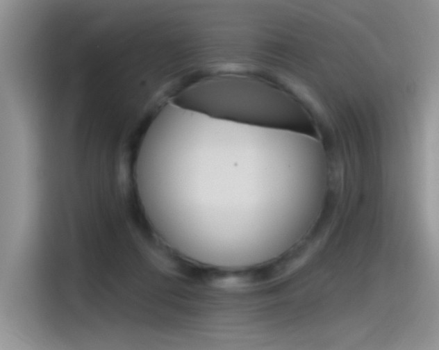 X0000115790312200911131032