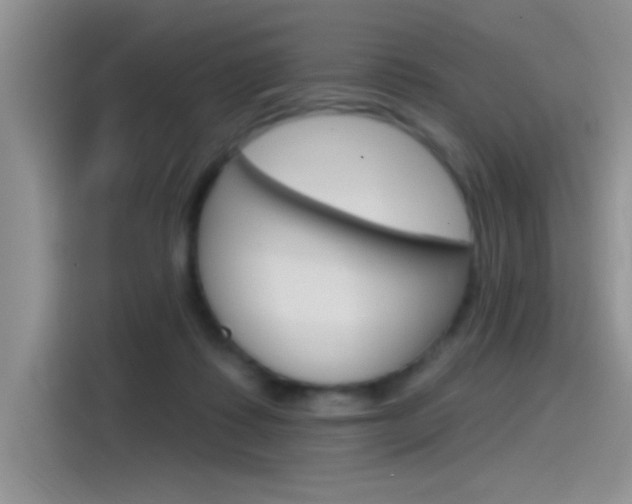 X0000115790315200911131031