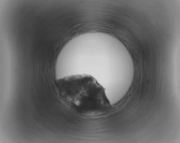 X0000115790319200911131031