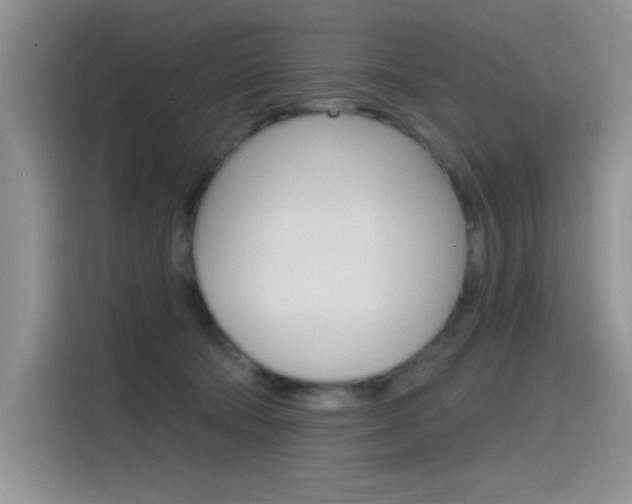 X0000115790322200911131031