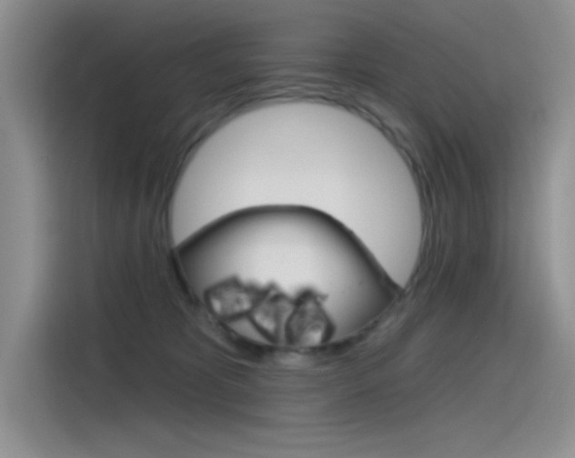 X0000115790325200911131031