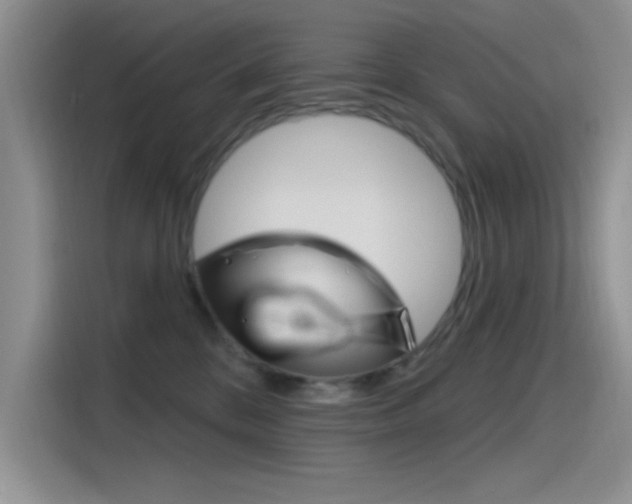 X0000115790328200911131031