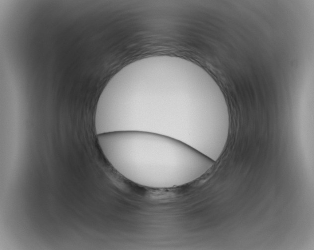 X0000115790331200911131031