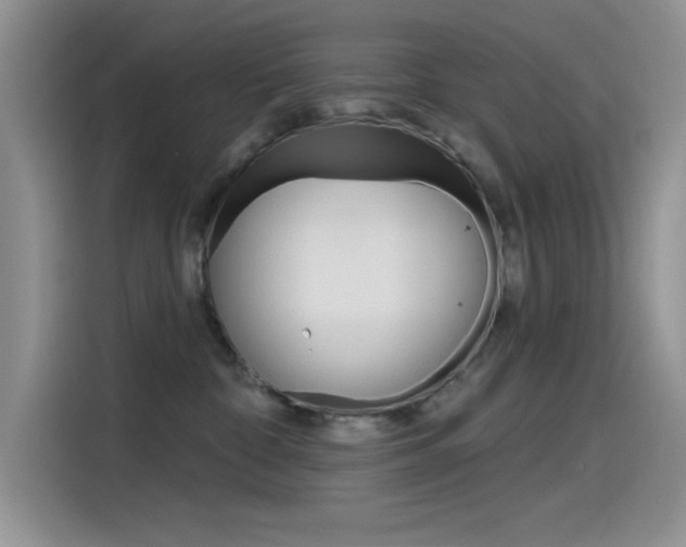 X0000115790332200911131031