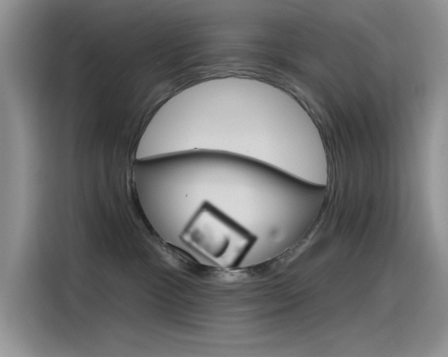 X0000115790333200911131031