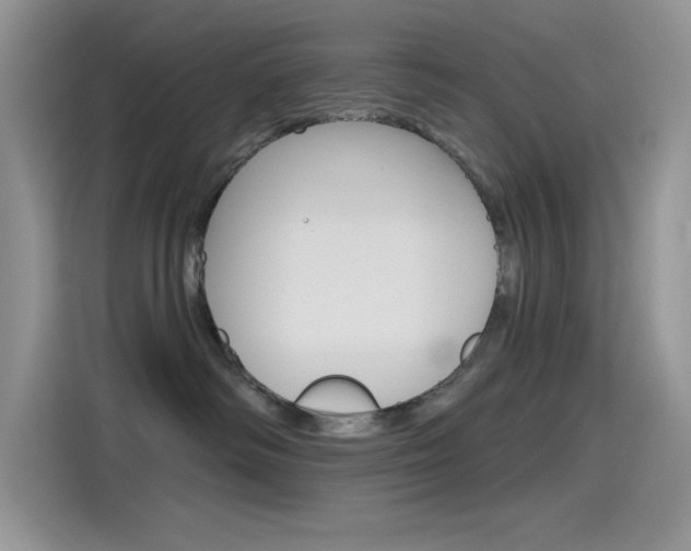 X0000115790334200911131031