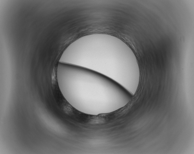 X0000115790335200911131031
