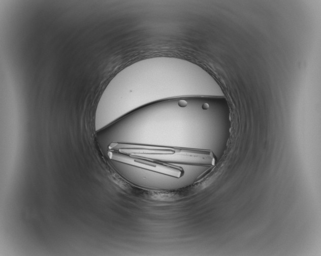 X0000115790336200911131031
