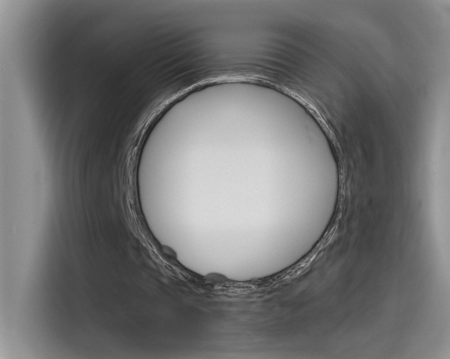 X0000115790337200911131031