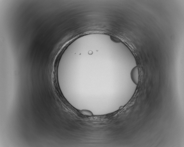 X0000115790338200911131031