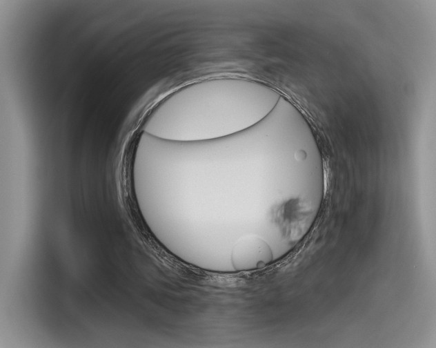 X0000115790339200911131031