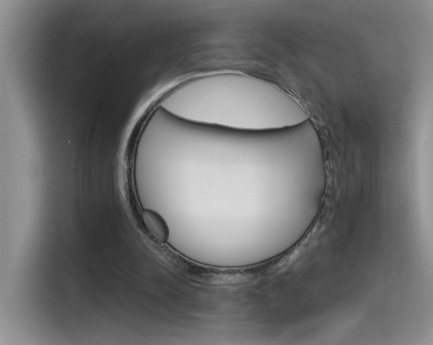 X0000115790342200911131031