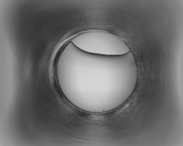 X0000115790343200911131031