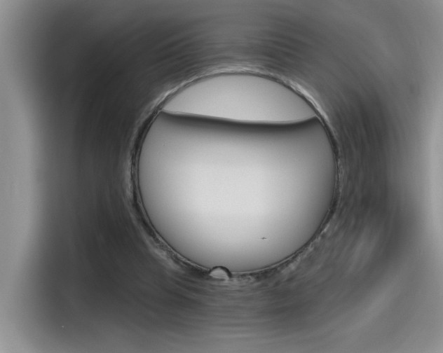 X0000115790345200911131031