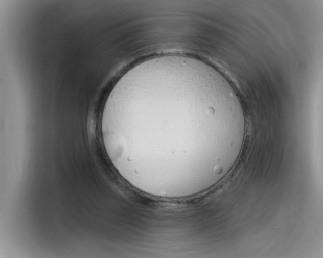 X0000115790347200911131031