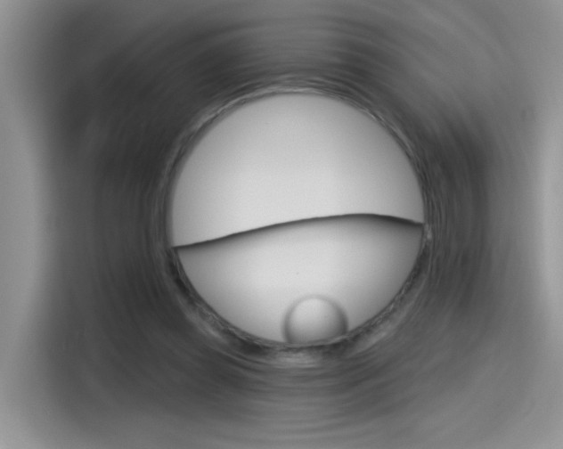 X0000115790349200911131031