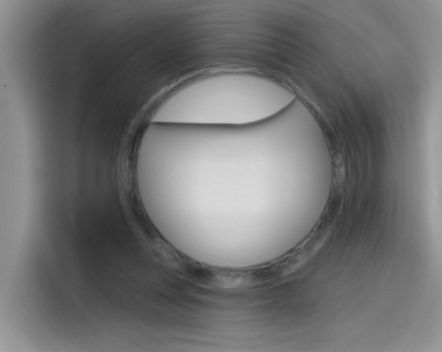 X0000115790351200911131031