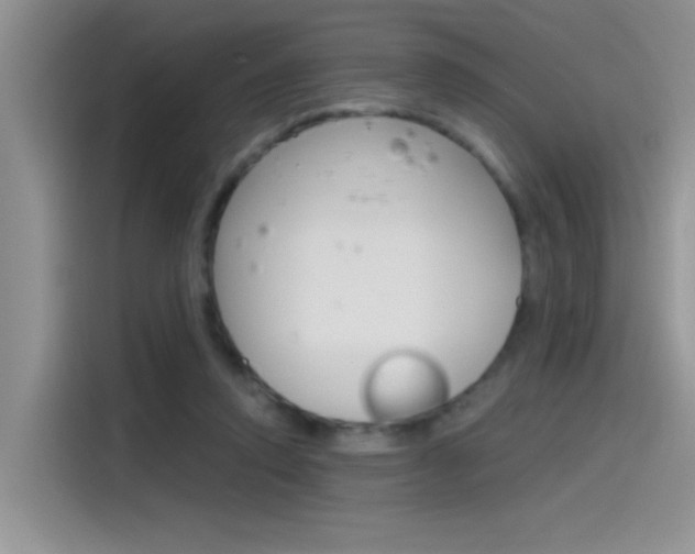 X0000115790354200911131031