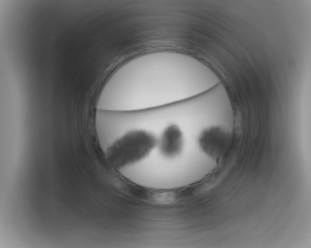 X0000115790355200911131031