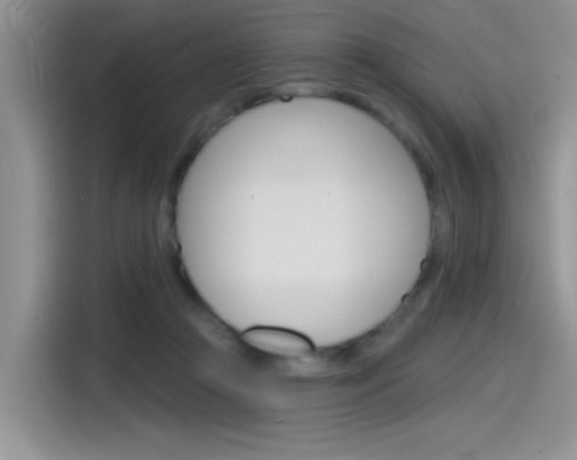 X0000115790361200911131031