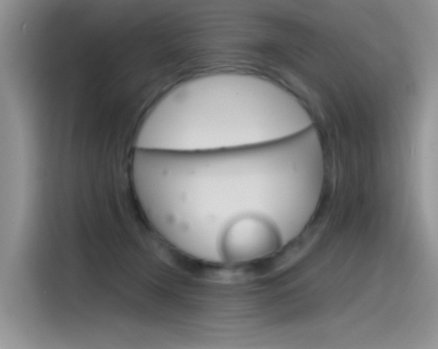 X0000115790366200911131031