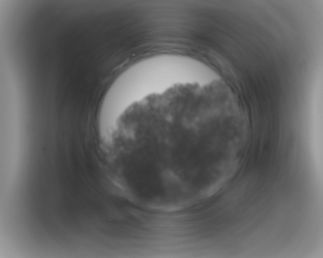 X0000115790367200911131031