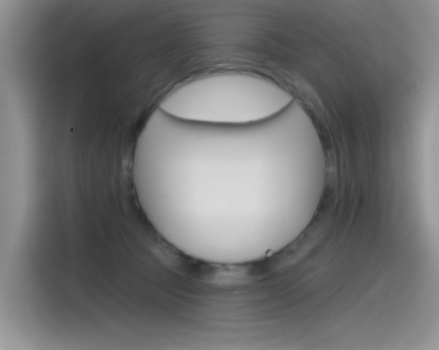 X0000115790369200911131031