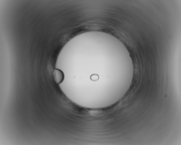 X0000115790371200911131031