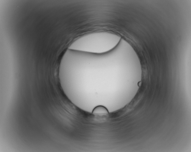 X0000115790373200911131031