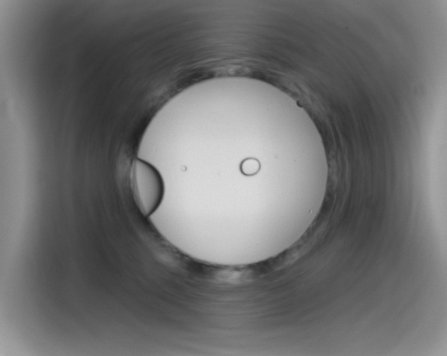 X0000115790375200911131031