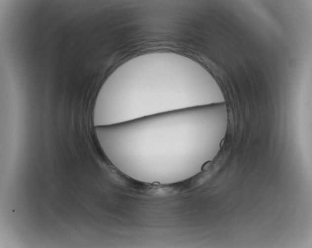 X0000115790379200911131031