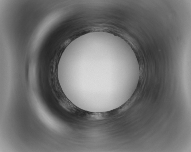 X0000115790381200911131031