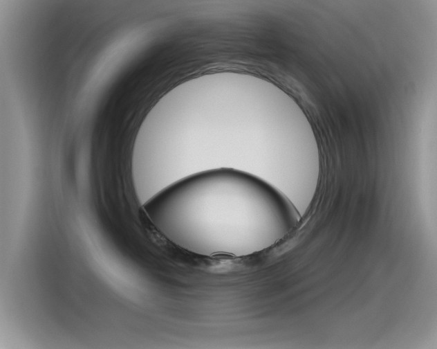 X0000115790382200911131031