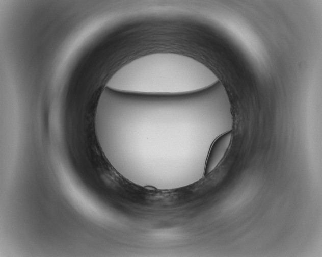 X0000115790383200911131031