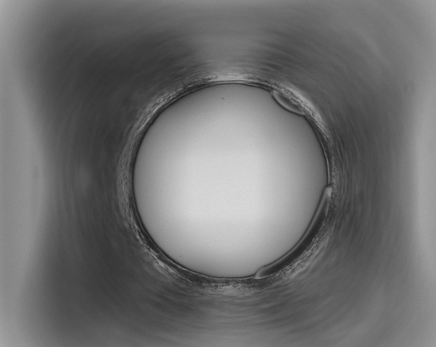 X0000115790385200911131031