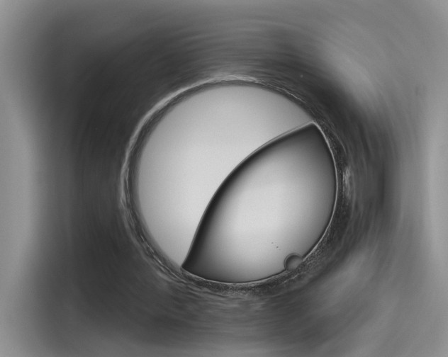 X0000115790388200911131031