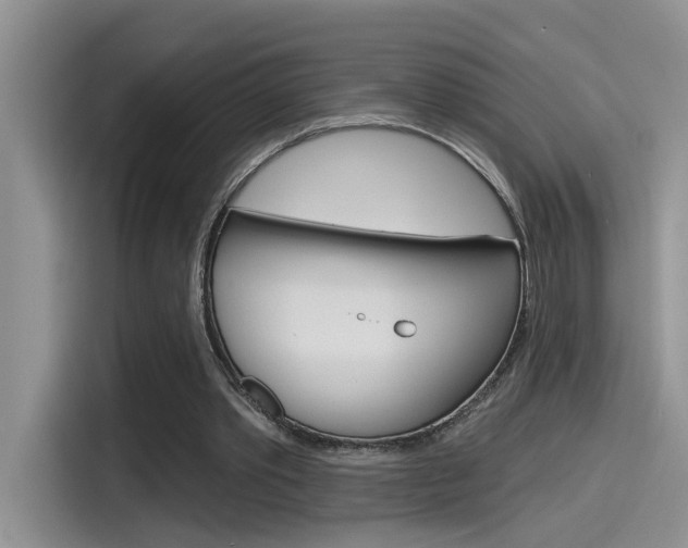 X0000115790389200911131031