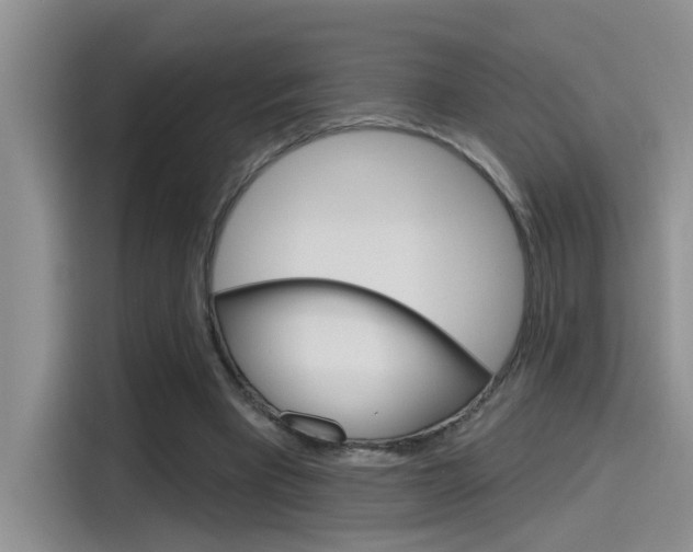 X0000115790393200911131030