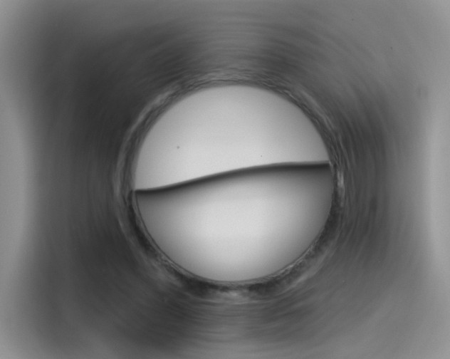 X0000115790396200911131030