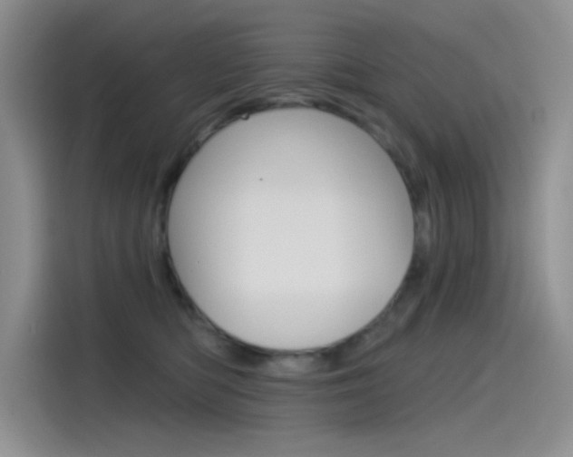 X0000115790422200911131030