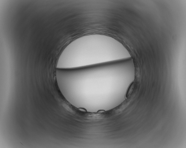 X0000115790428200911131030