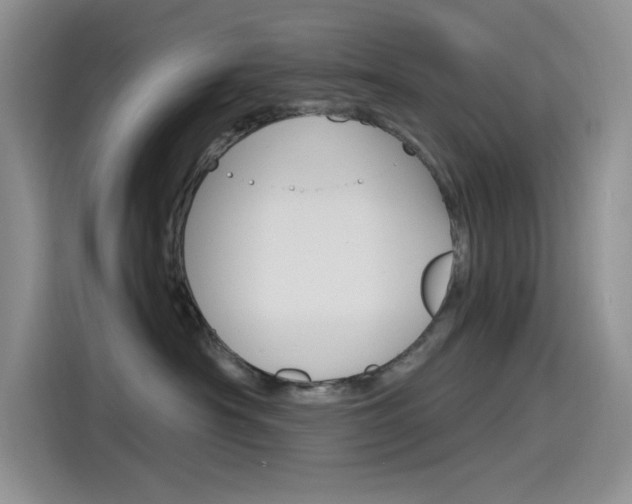 X0000115790430200911131030
