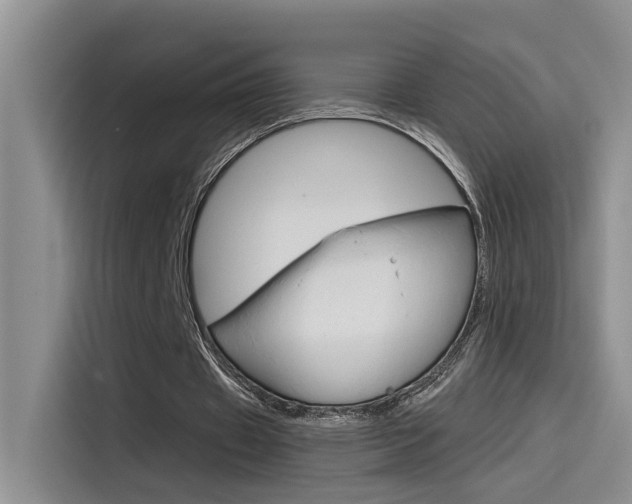 X0000115790433200911131029